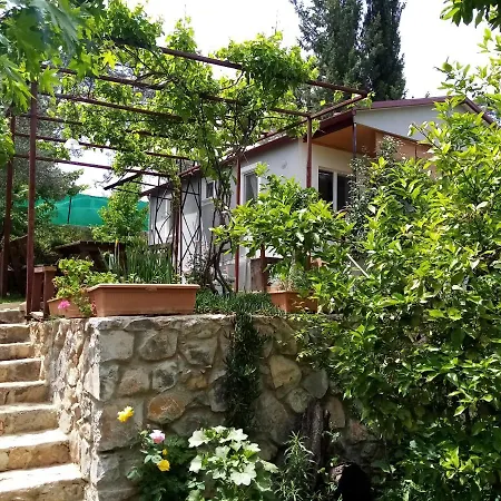 Tatilevim